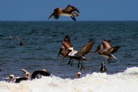 /album/fotogaleria/a10661684-10152906765444091-3136924402222187976-o-jpg/