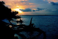 /album/fotogaleria/a10856644-10152906778074091-7571783681536188822-o-jpg/