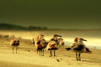 /album/fotogaleria/a10974292-10152714894394091-8605508002520218888-o-jpg/