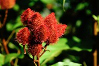 /album/fotogaleria/a11054878-10152906765954091-7808989749338920365-o-jpg/