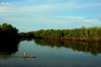 /album/fotogaleria/a11109145-10152906773559091-6389037460135605654-o-jpg/