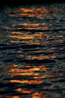 /album/fotogaleria/a11218543-10152921075219091-327969238879216591-o-jpg/